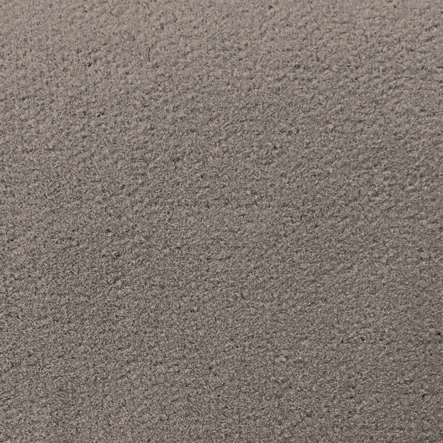 Dorsett El Dorado Cut Pile Automotive Carpet - 8260 Titanium