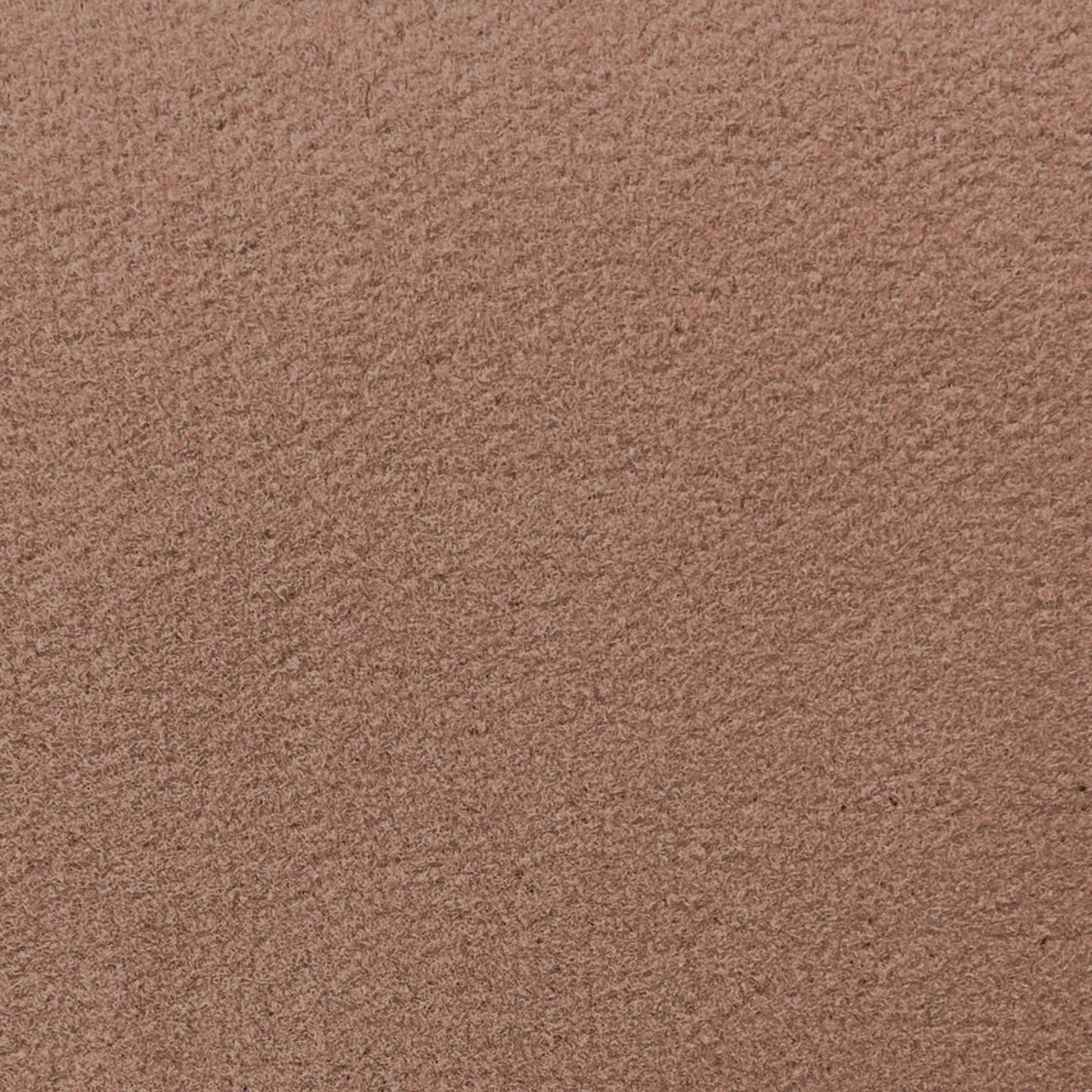 Dorsett El Dorado Cut Pile Automotive Carpet - 8335 Medium Neutral