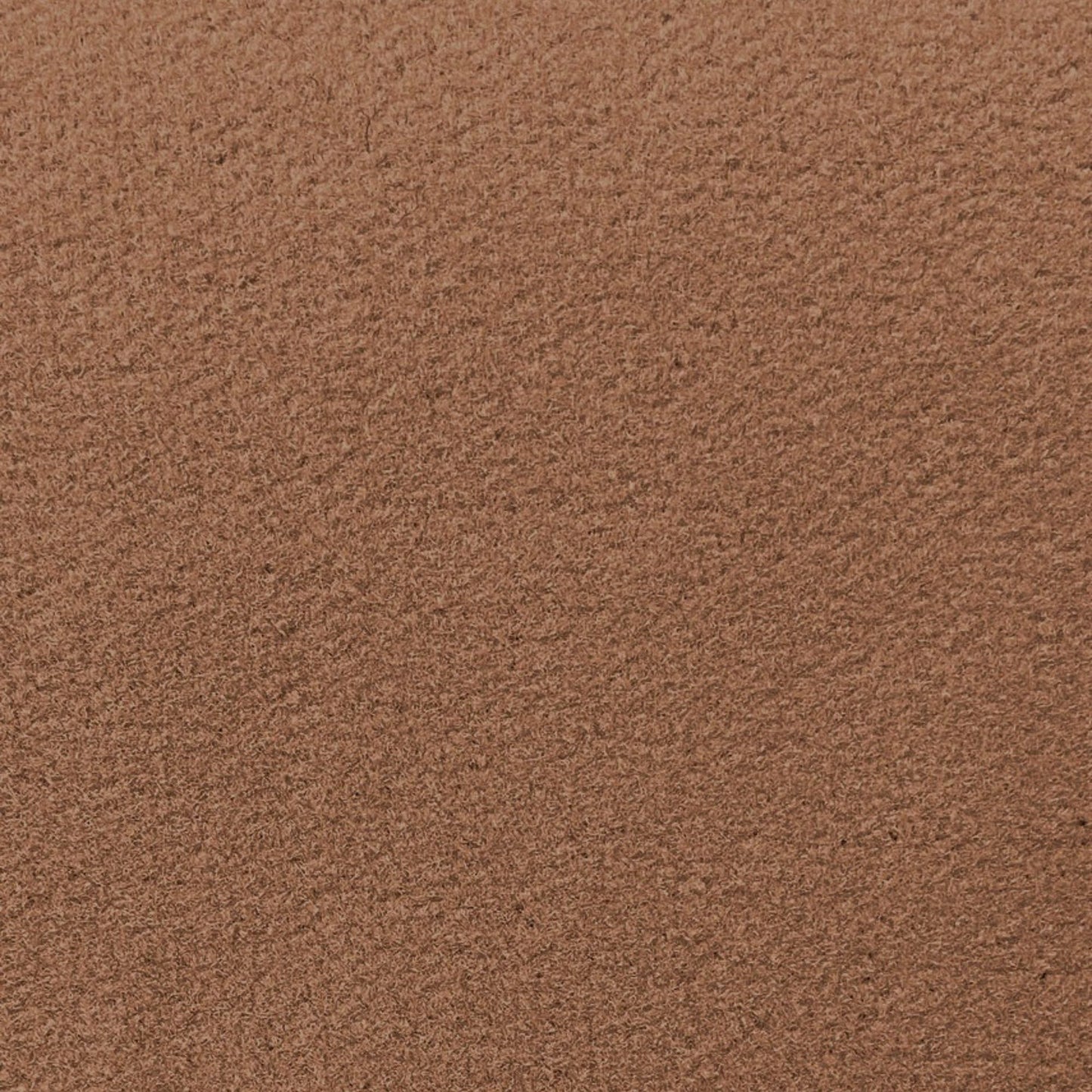 Dorsett El Dorado Cut Pile Automotive Carpet - 8835 Medium Beige