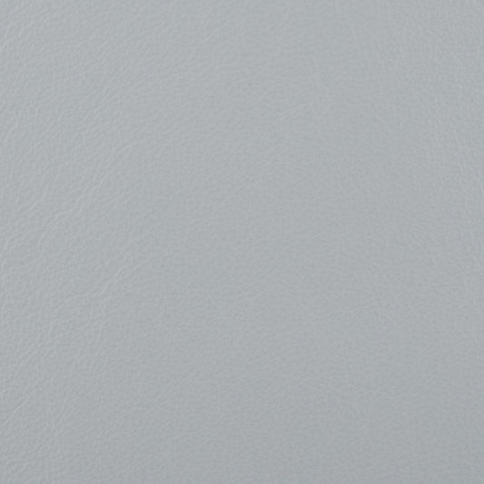 Affinity Upholstery Leather - LTAF-05 Blue Gray