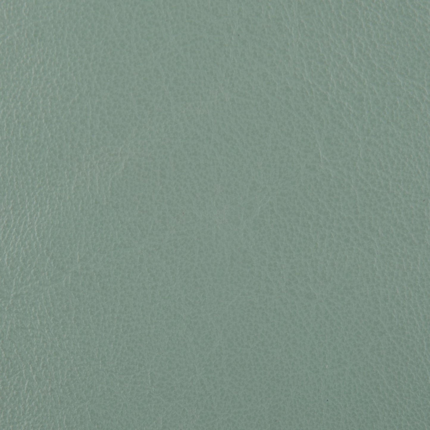 Affinity Upholstery Leather - LTAF-08 Mint