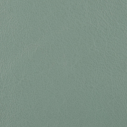 Affinity Upholstery Leather - LTAF-08 Mint
