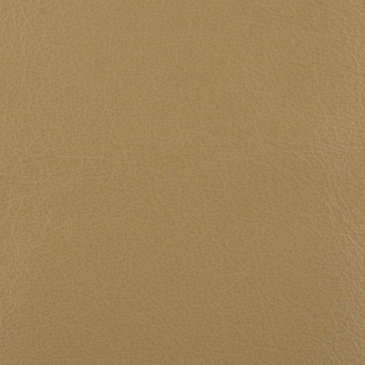 Affinity Upholstery Leather - LTAF-22 Earth