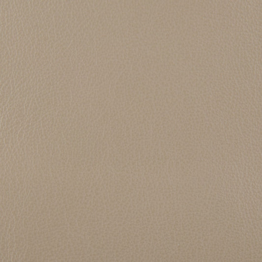 Affinity Upholstery Leather - LTAF-24 Shale