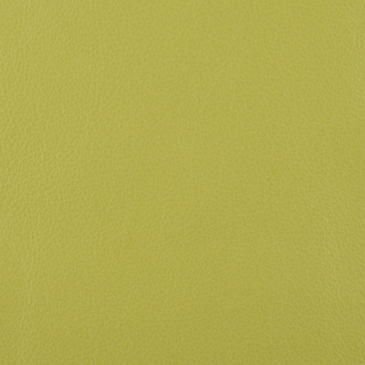 Affinity Upholstery Leather - LTAF-29 Pistachio