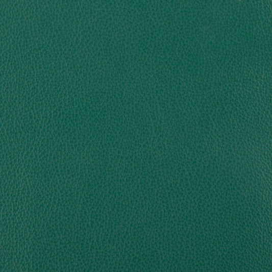 Affinity Upholstery Leather - LTAF-30 Lagoon