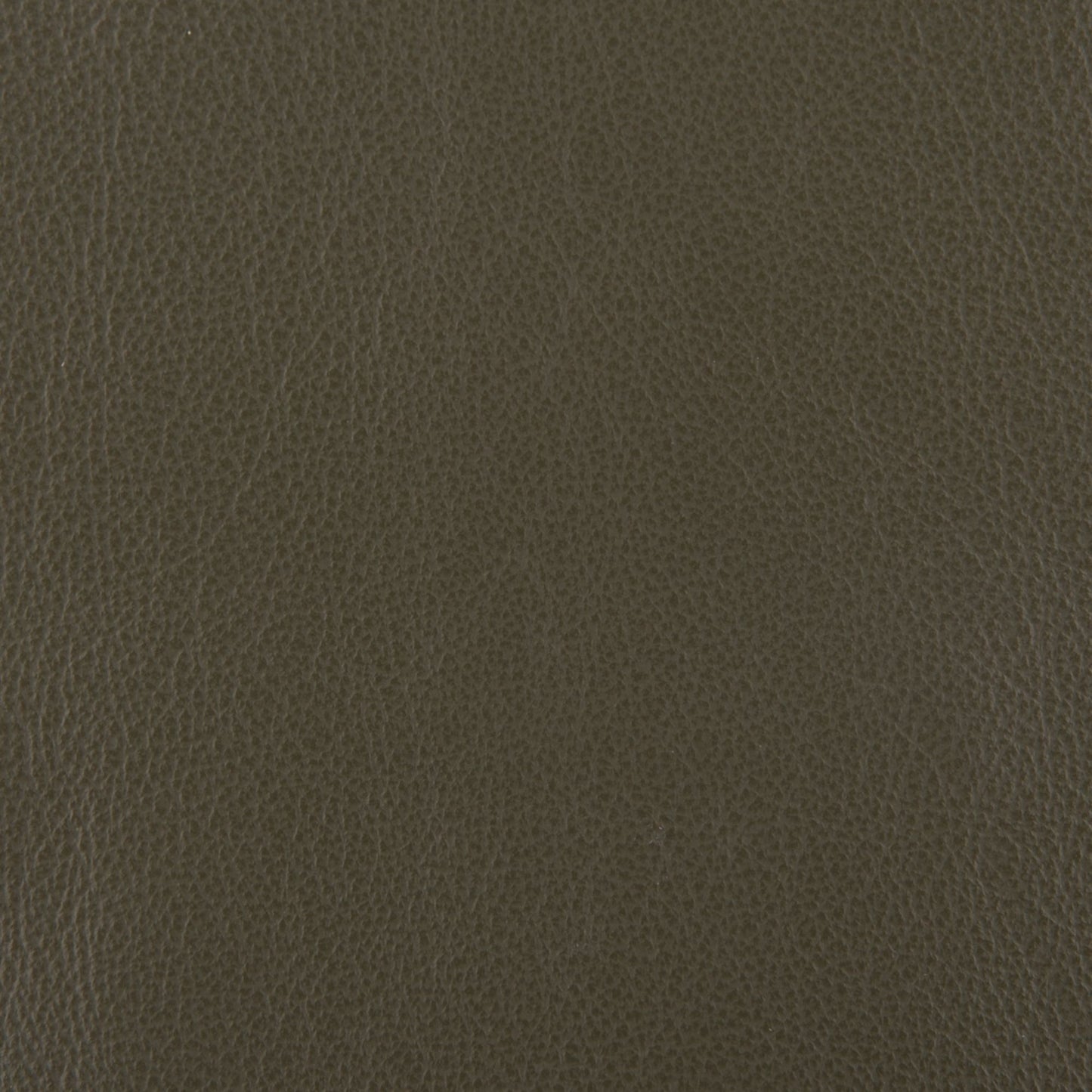 Affinity Upholstery Leather - LTAF-32 Artichoke