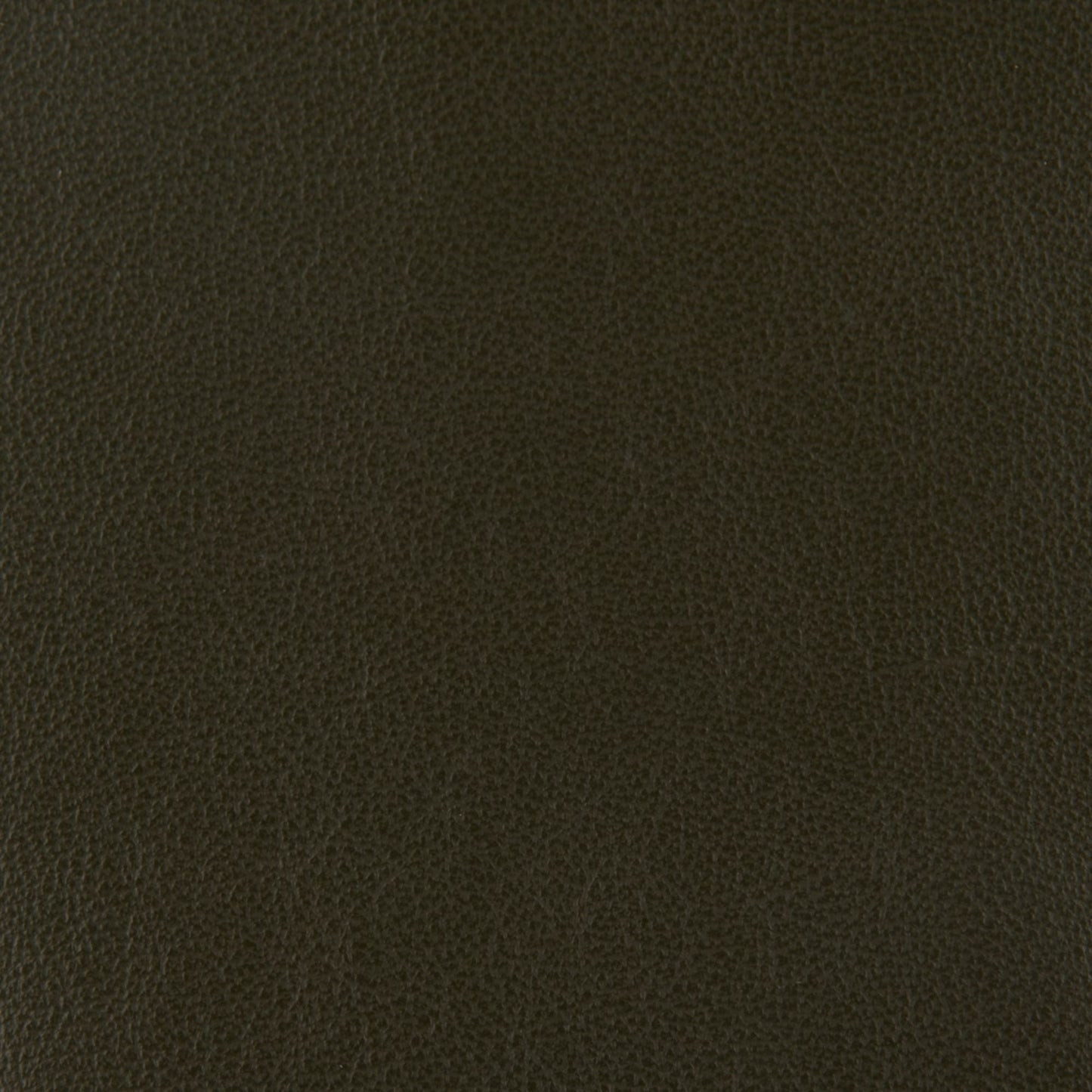 Affinity Upholstery Leather - LTAF-33 Avocado