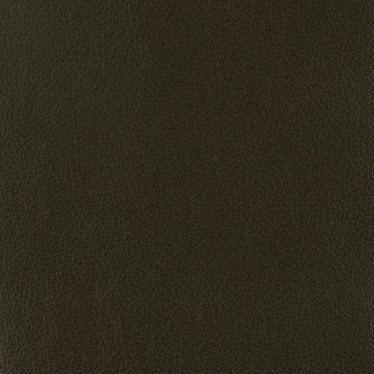 Affinity Upholstery Leather - LTAF-33 Avocado