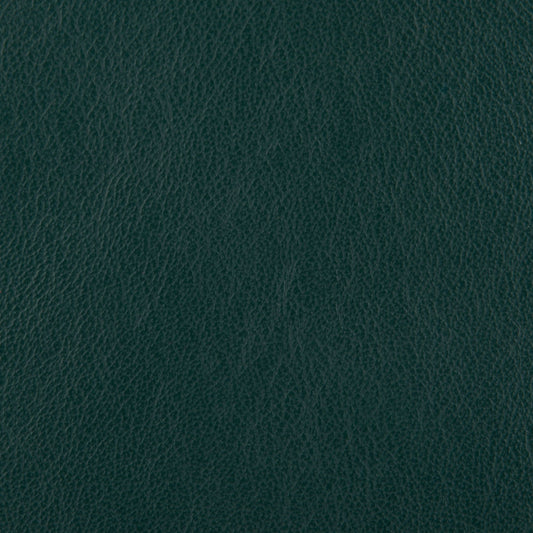 Affinity Upholstery Leather - LTAF-34 Dark Green