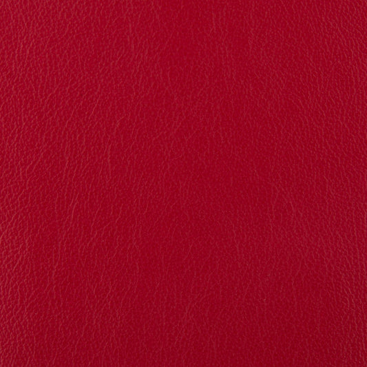 Affinity Upholstery Leather - LTAF-36 Brick