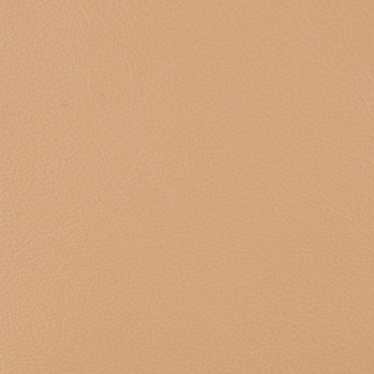 Affinity Upholstery Leather - LTAF-42 Macchiato