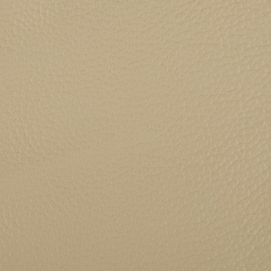 Vintage Upholstery Leather - LTVT-14 Champagne