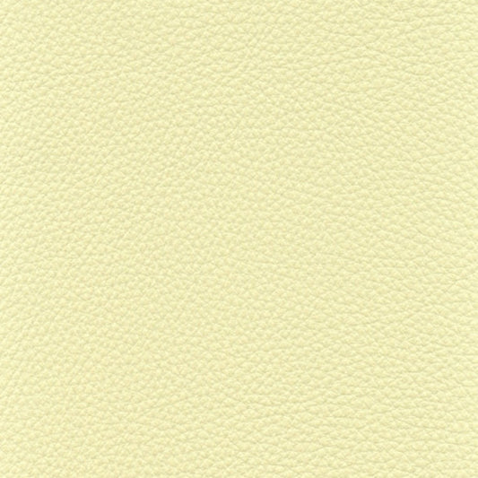 Solo Upholstery Vinyl Fabric - VLHM-41 Tea Green