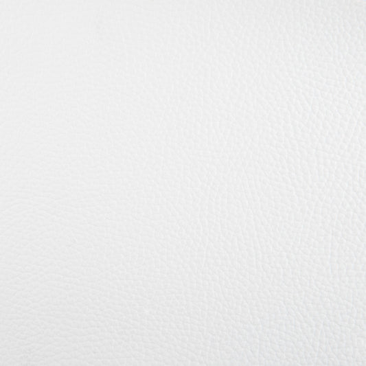 Seascape Marine Vinyl Fabric - VLM-37 Arctic White