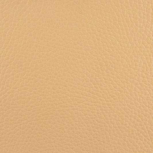 Seascape Marine Vinyl Fabric - VLM-40 Sand Dollar