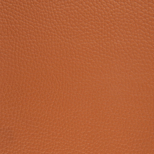 Seascape Marine Vinyl Fabric - VLM-41 Sun Tan