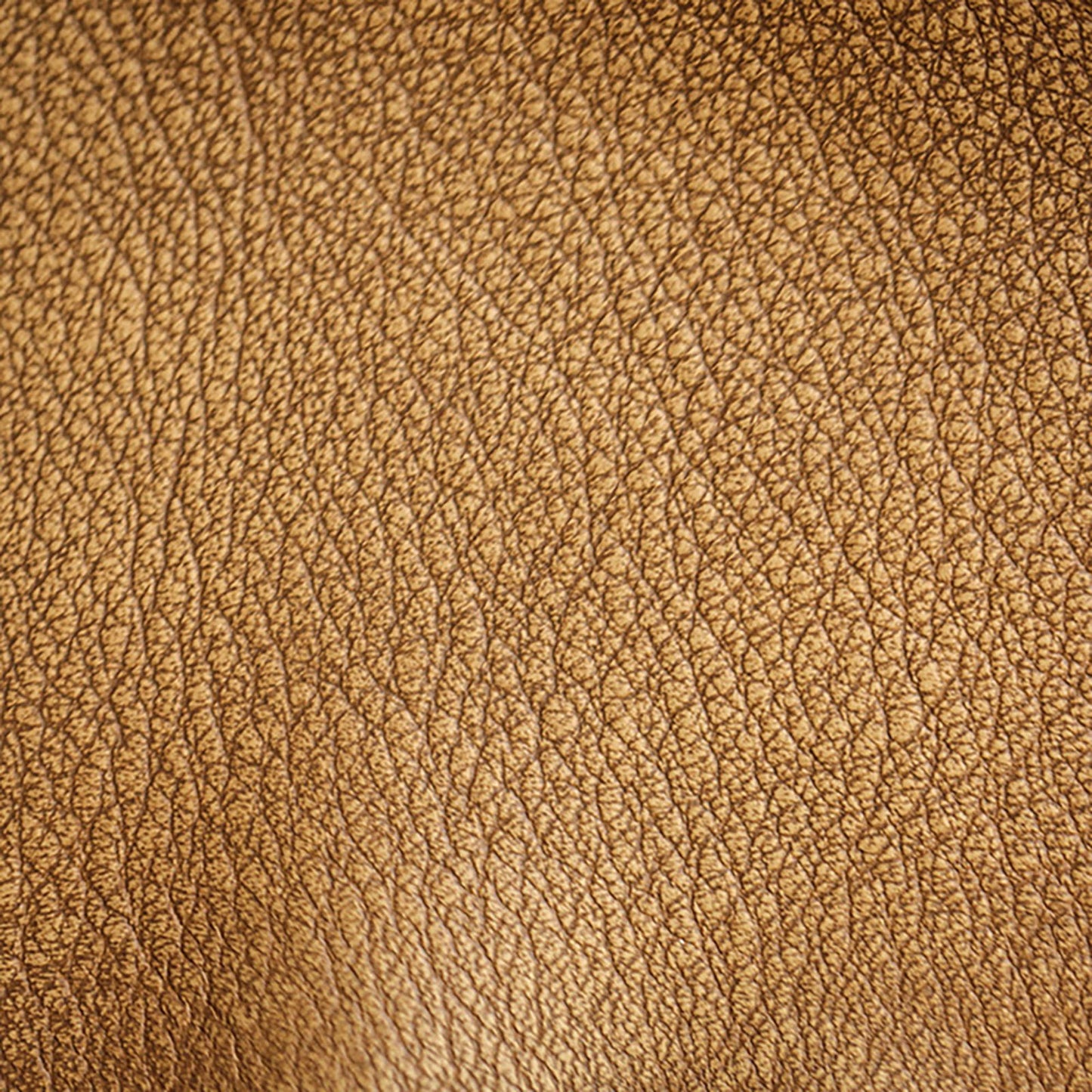 Wrangler Upholstery Leather - Sabbia