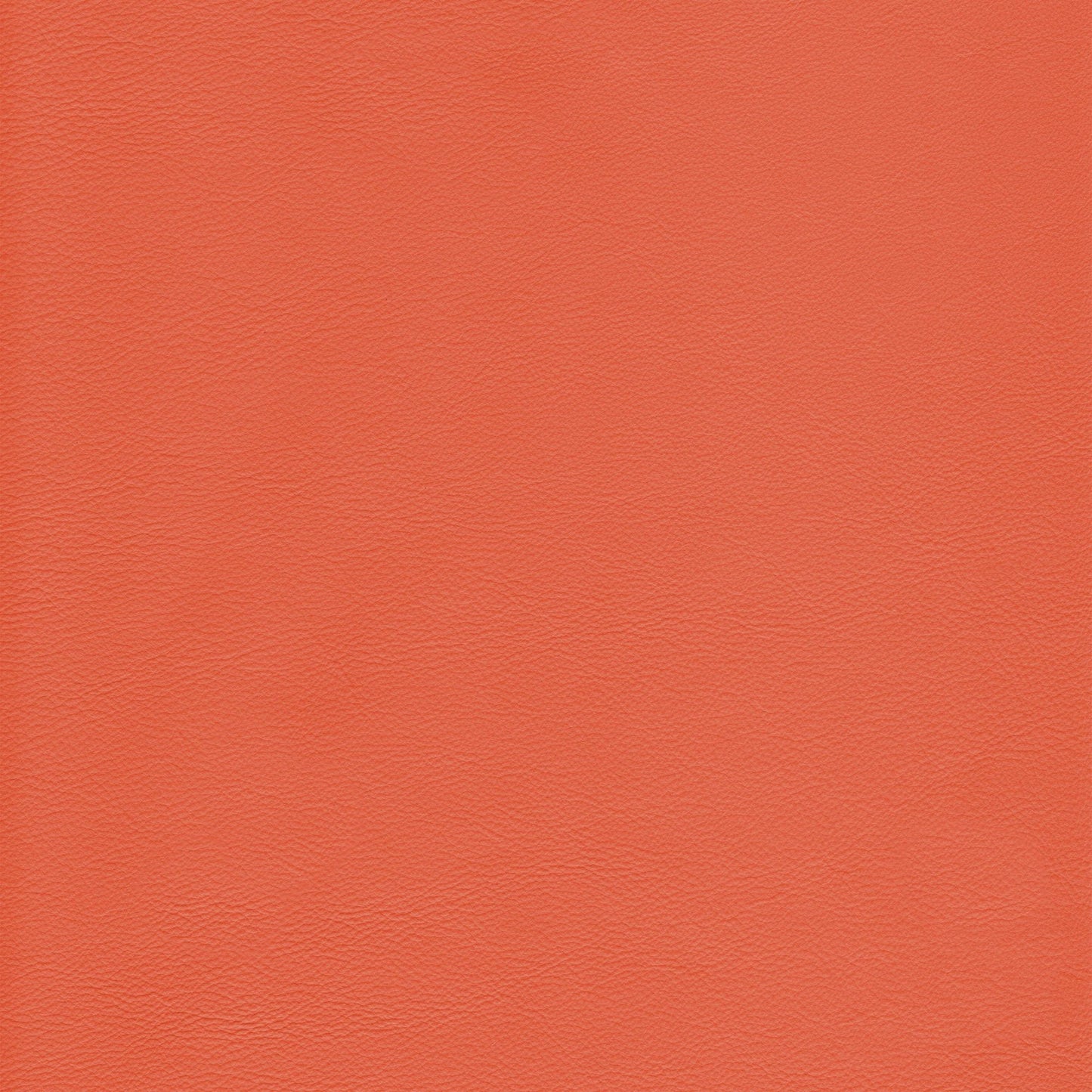 Canyon Upholstery Leather - Blush