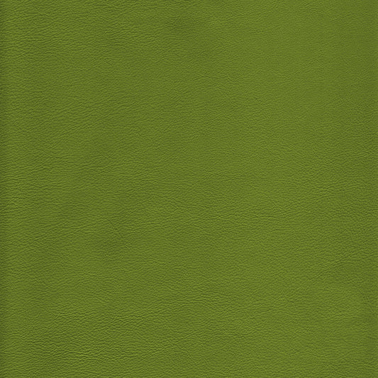 Canyon Upholstery Leather - Kiwi