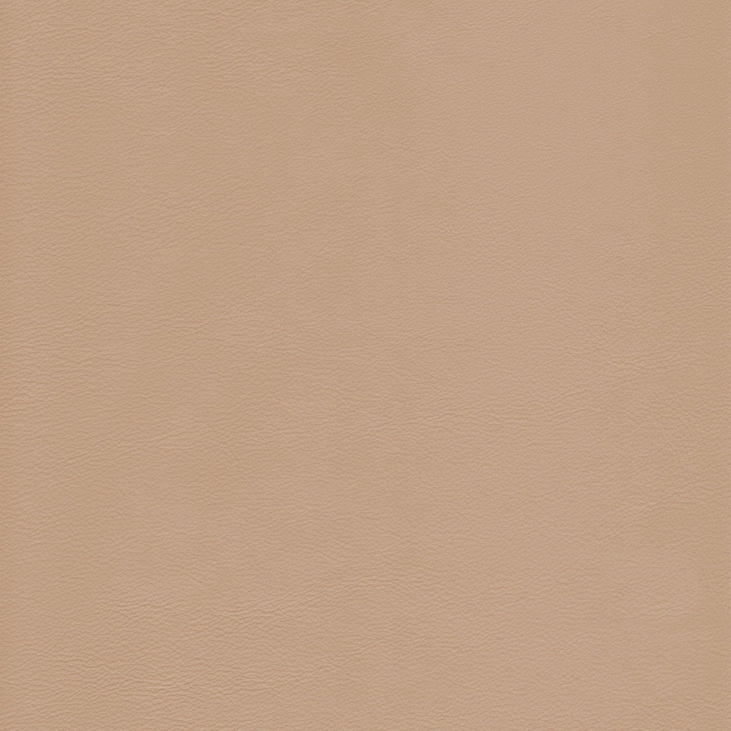 Canyon Upholstery Leather - Putty