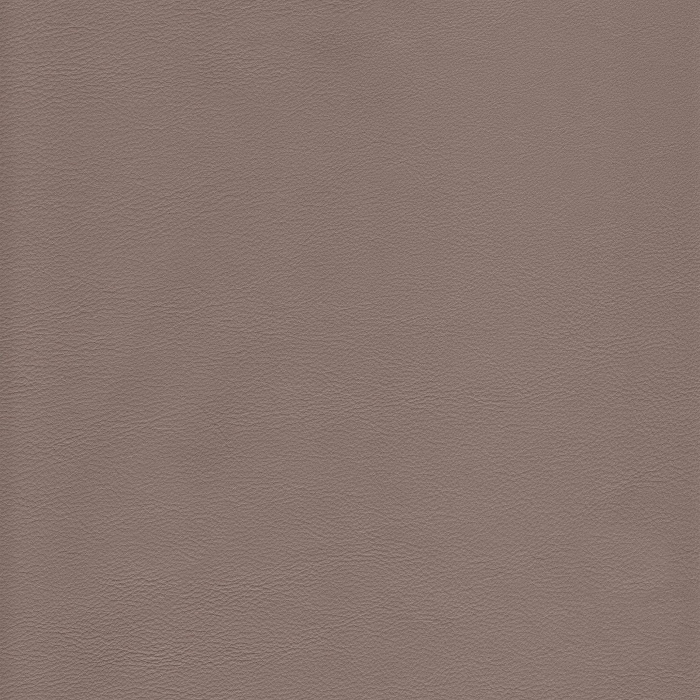 Canyon Upholstery Leather - Sterling