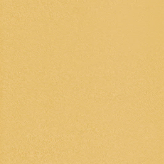 Canyon Upholstery Leather - Sunshine
