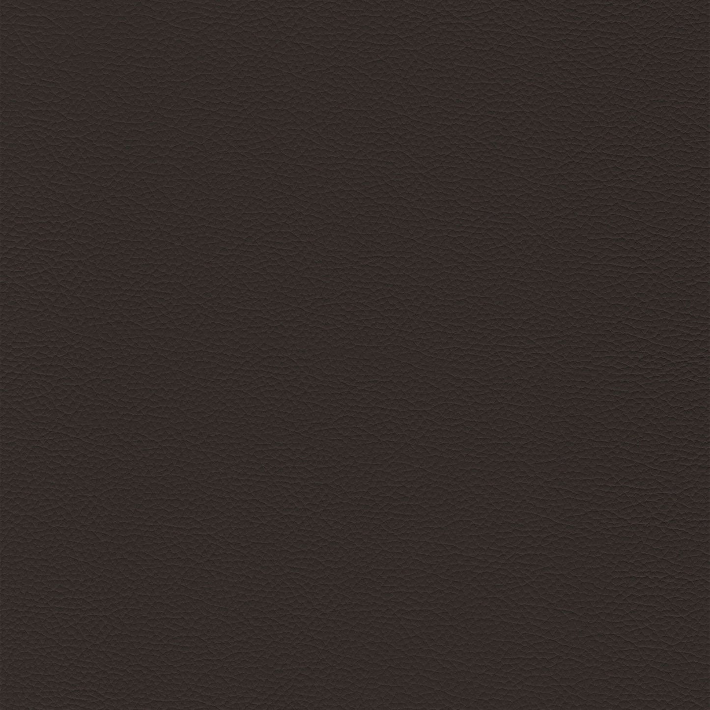 Dakota Upholstery Leather - Cafe