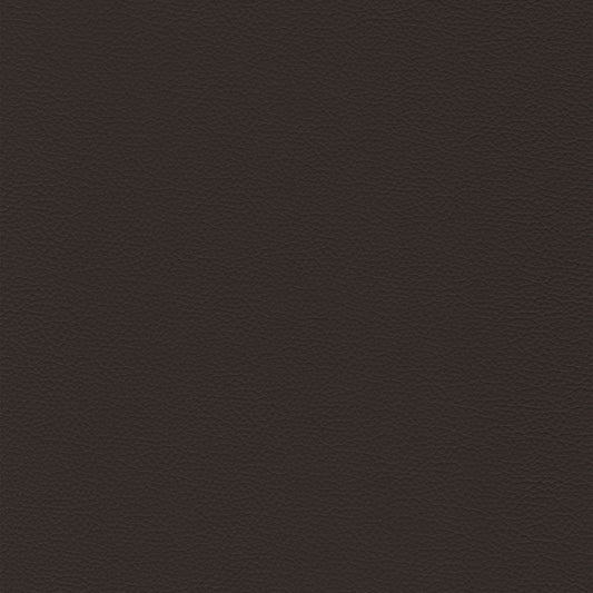 Dakota Upholstery Leather - Cafe