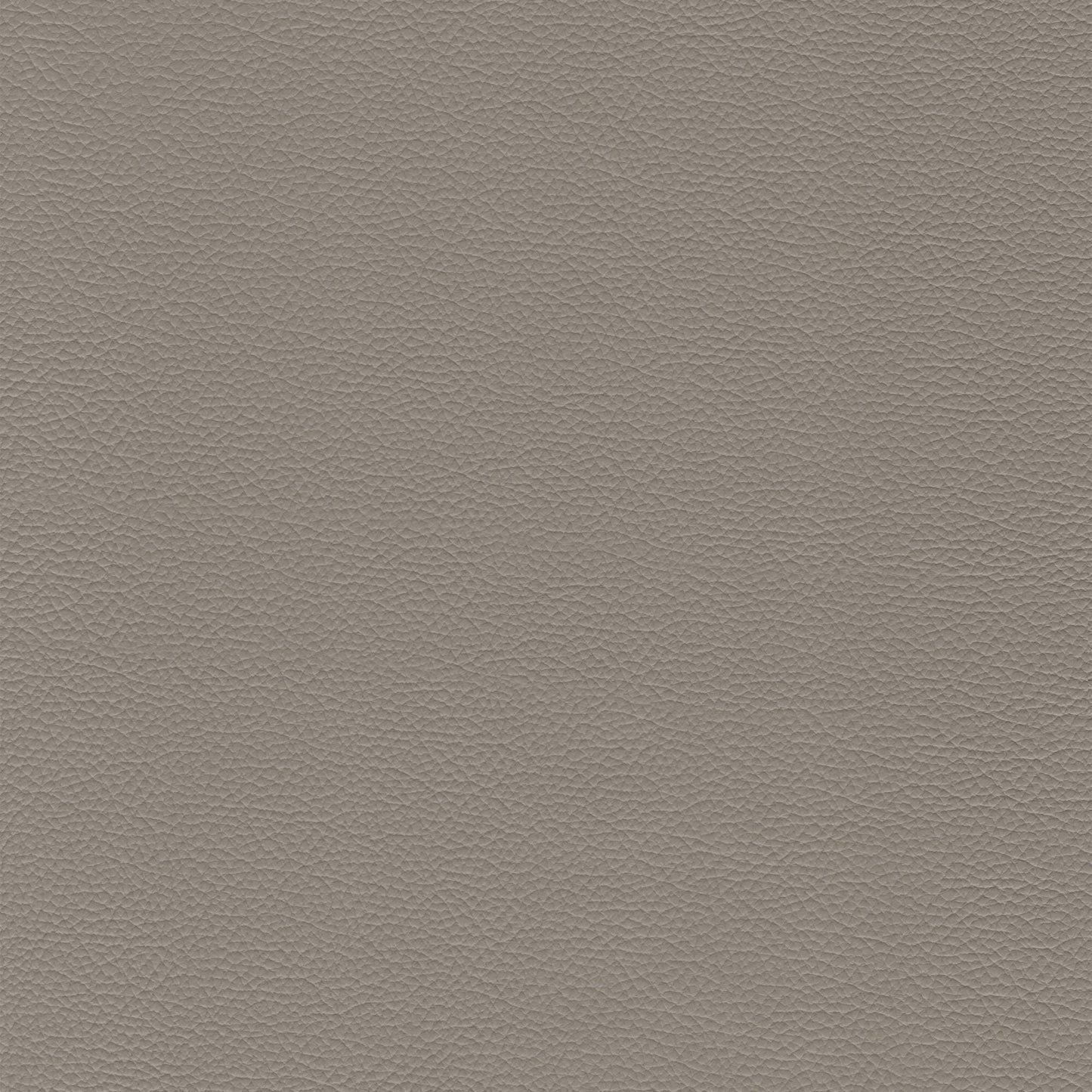 Dakota Upholstery Leather - Eagle