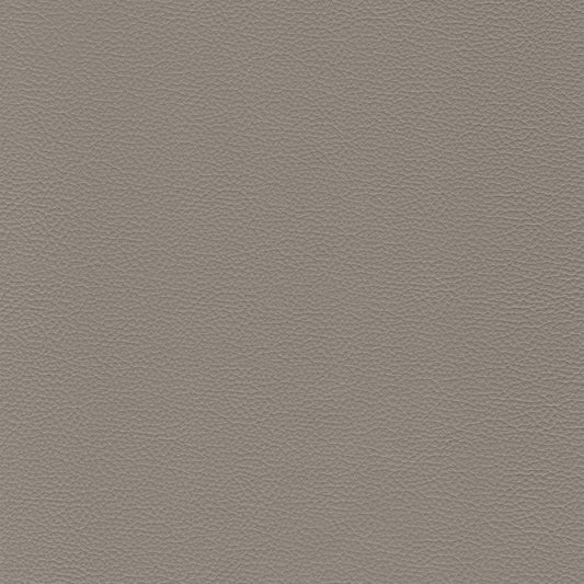 Dakota Upholstery Leather - Eagle