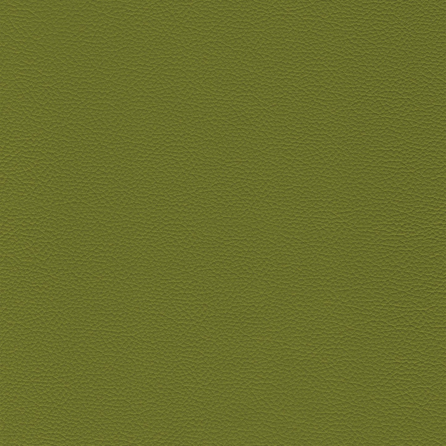 Dakota Upholstery Leather - Guacamole