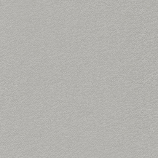 Dakota Upholstery Leather - Mist