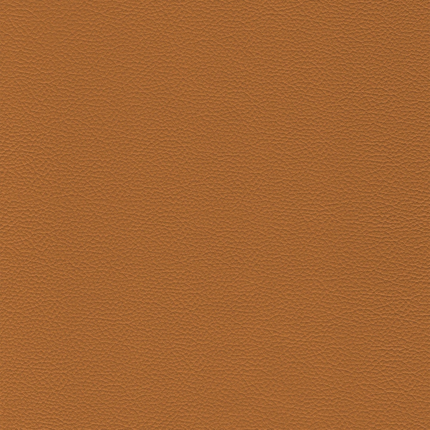 Dakota Upholstery Leather - Muscat