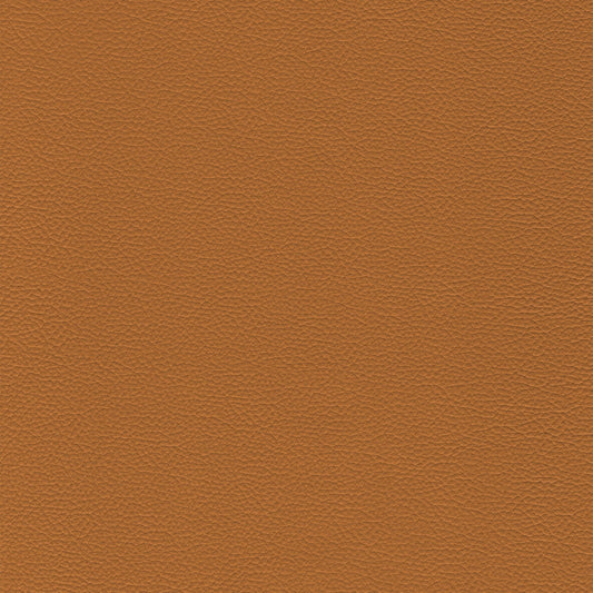 Dakota Upholstery Leather - Muscat