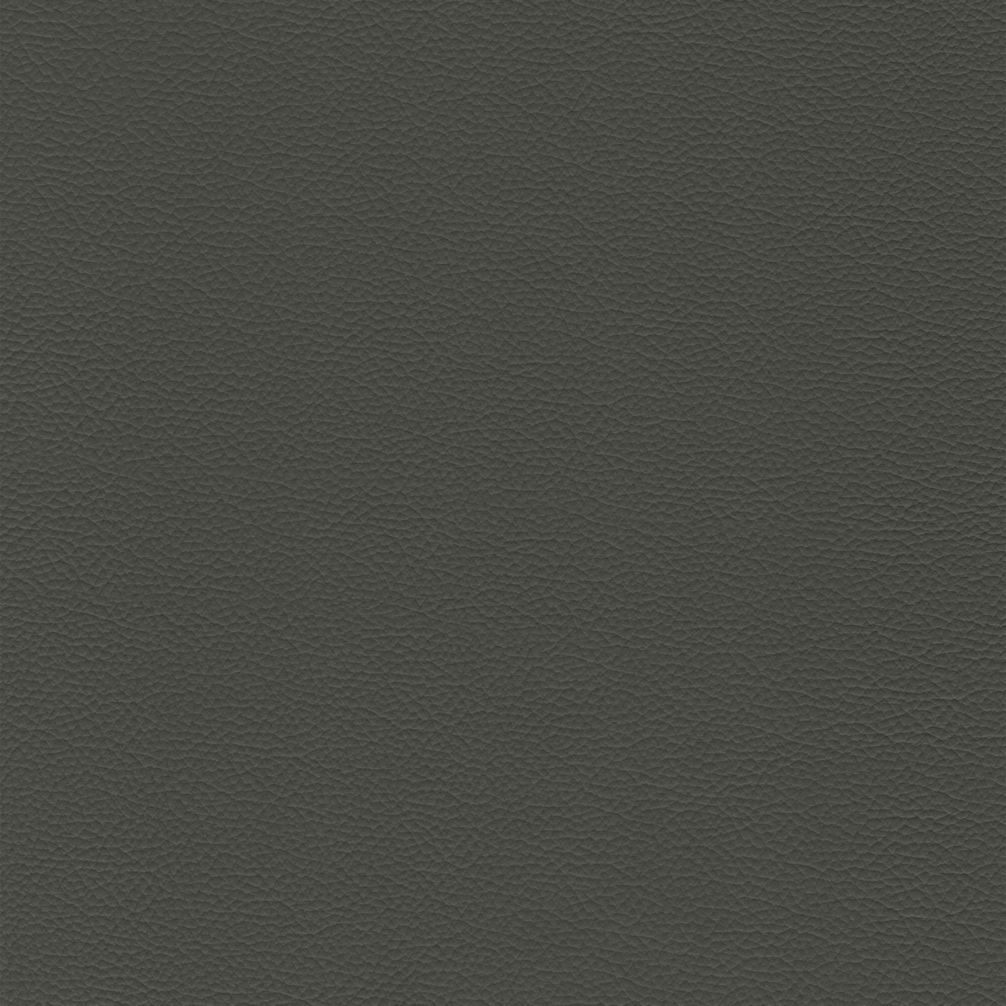 Dakota Upholstery Leather - Thunder