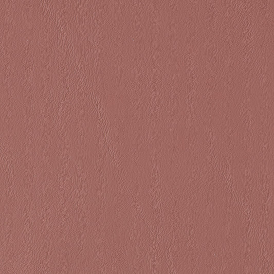 Morbern Allante Marine Vinyl Fabric - AL-838 Cinnamon