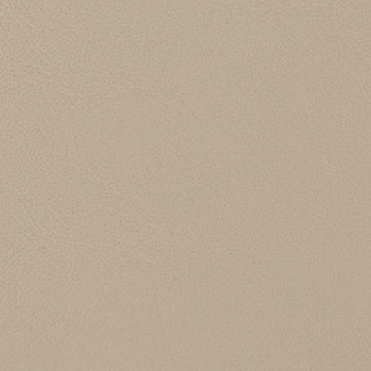 Morbern Allante Marine Vinyl Fabric - AL-895 Hideaway