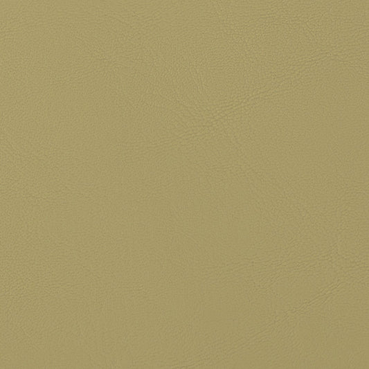Morbern Allante Marine Vinyl Fabric - AL-898 Parrot