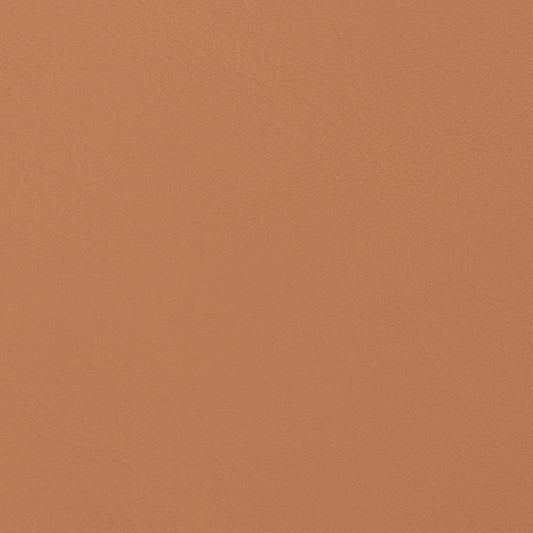 Morbern Allante Marine Vinyl Fabric - AL-902 Butterscotch