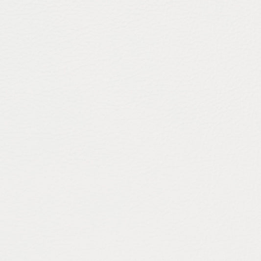 Morbern Protege Marine Vinyl Fabric - PG-02 White