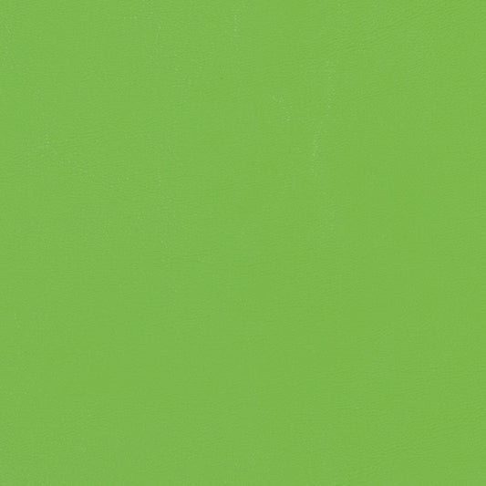 Morbern Seabrook Marine Vinyl Fabric - SB-147 Lime