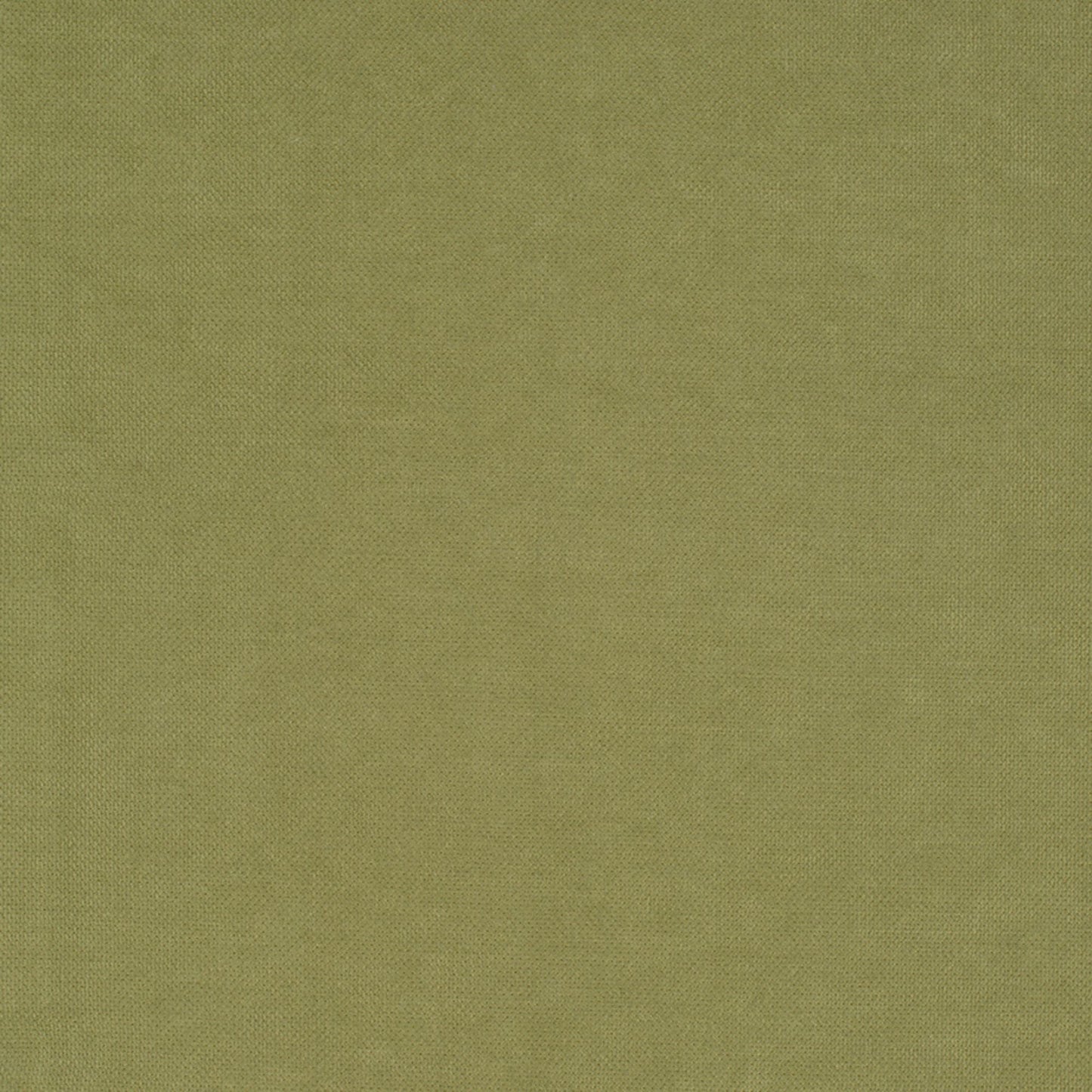 Nassimi Walker Performance Upholstery Fabric - MWAS-03 Bartlett