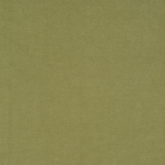 Nassimi Walker Performance Upholstery Fabric - MWAS-03 Bartlett