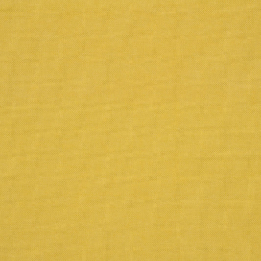 Nassimi Walker Performance Upholstery Fabric - MWAS-05 Buttercup