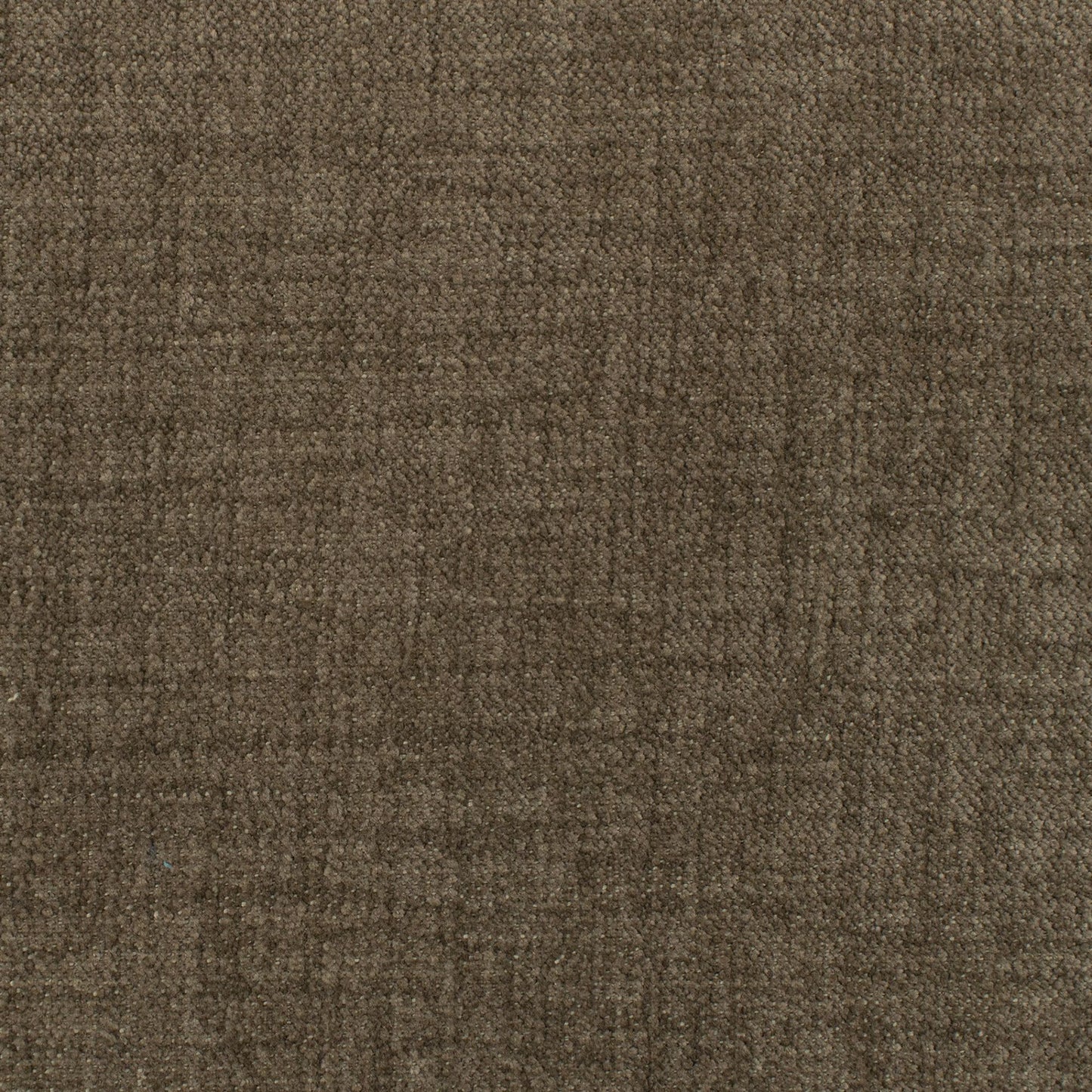 Supreen Como Performance Upholstery Fabric - NCOP-04 Branch
