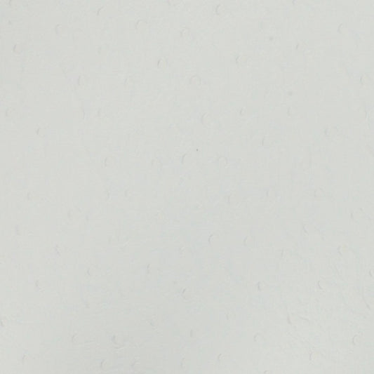 Nassimi Bondi Performance Vinyl Fabric - PBO-003 Snow White
