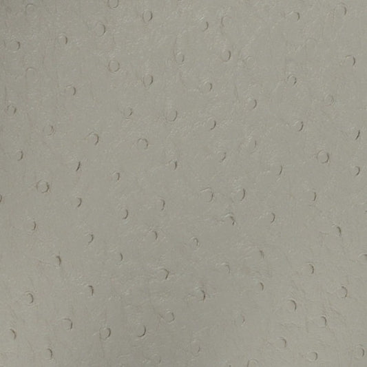 Nassimi Bondi Performance Vinyl Fabric - PBO-004 Stone
