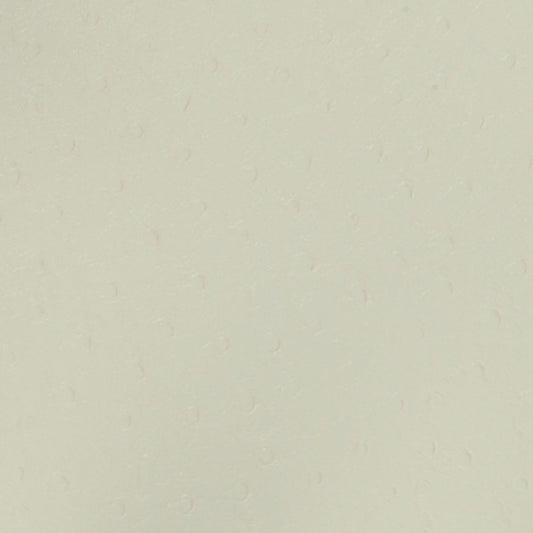 Nassimi Bondi Performance Vinyl Fabric - PBO-005 White Heron