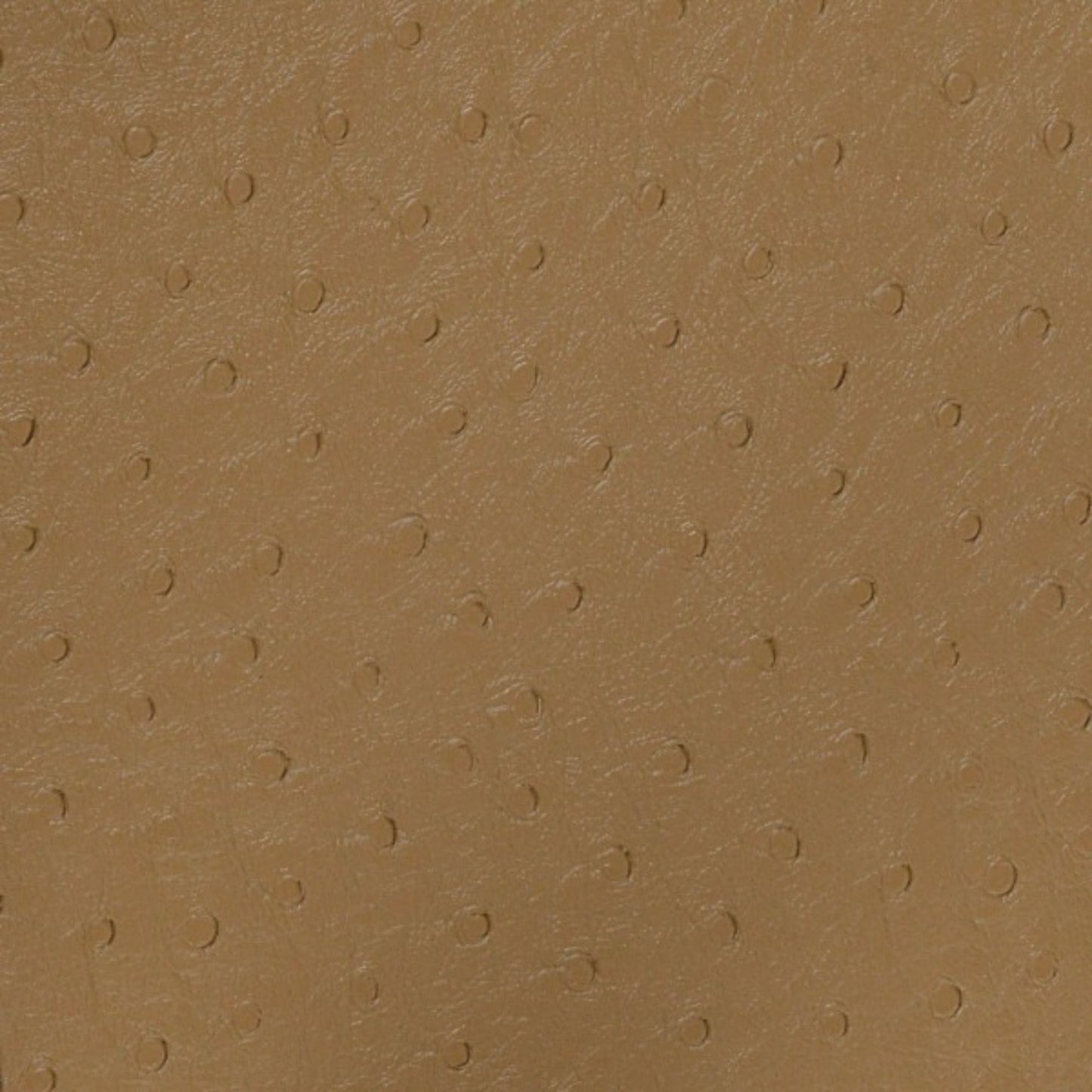 Nassimi Bondi Performance Vinyl Fabric - PBO-006 Butterscotch
